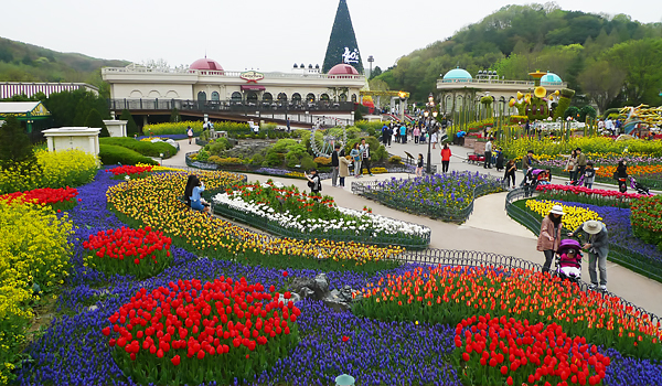 Vườn hoa mùa xuân du lịch Hàn Quốc