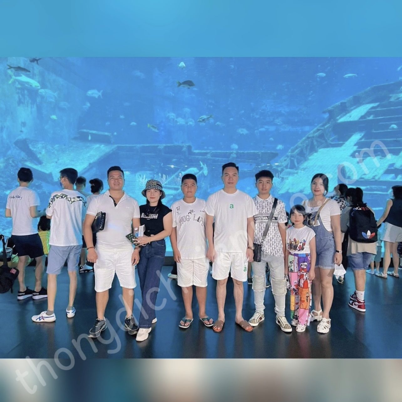 Huong dan vien Singapore 2024 check in tai thuy cung S.E.A Aquarium 