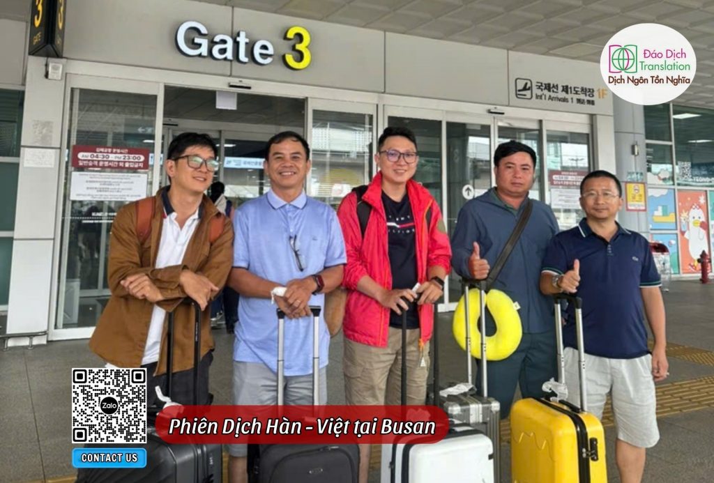 phien dich tieng han don khach tai san bay quoc te gimhae busan