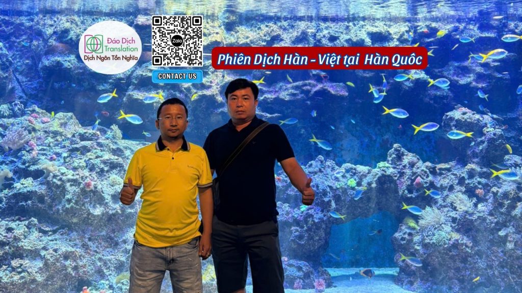 phien dich tieng han tai busan