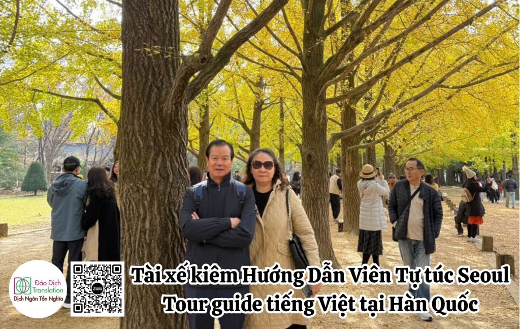 tai xe kiem tour guide tai seoul