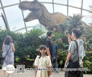 huong dan vien tieng viet tai singapore