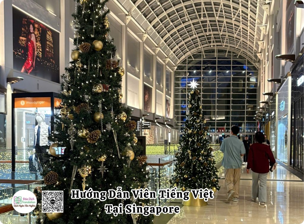 tour guide nguoi viet tai singapore