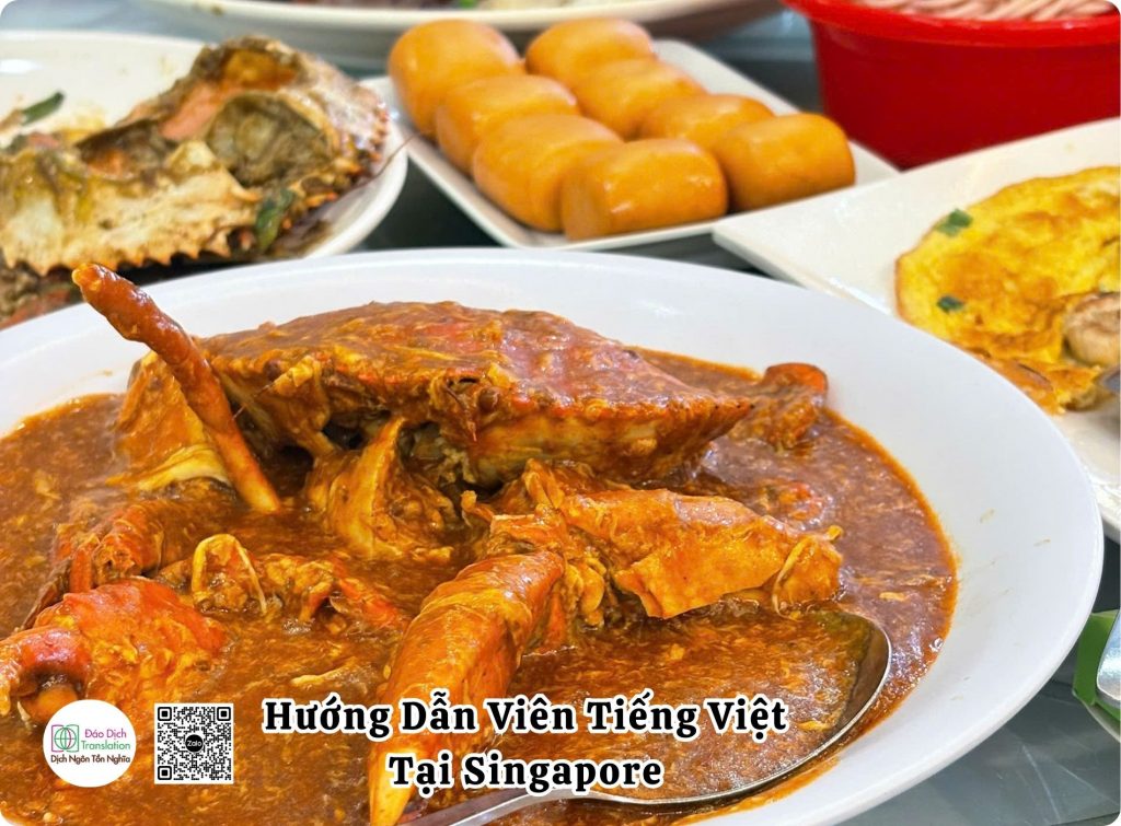 tour guide nguoi viet tai singapore