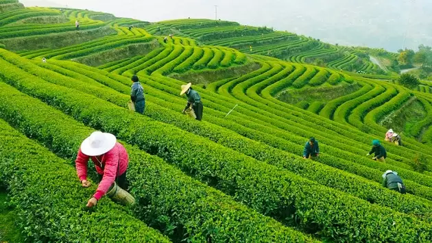 Mot trong nhung doi che chat luong con duoc luu lại o Trung Quoc
