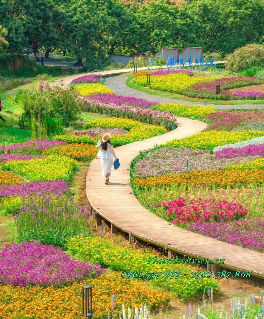 Huong dan vien tieng Viet tai Quang Chau dua du khach hoa minh vao khung canh ngan hoa khoe sac